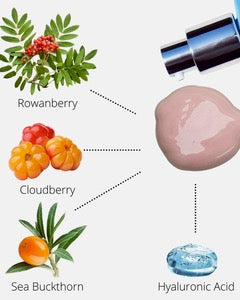 Certified Organic Day Cream with Sea Buckthorn & Hyaluronic Acid